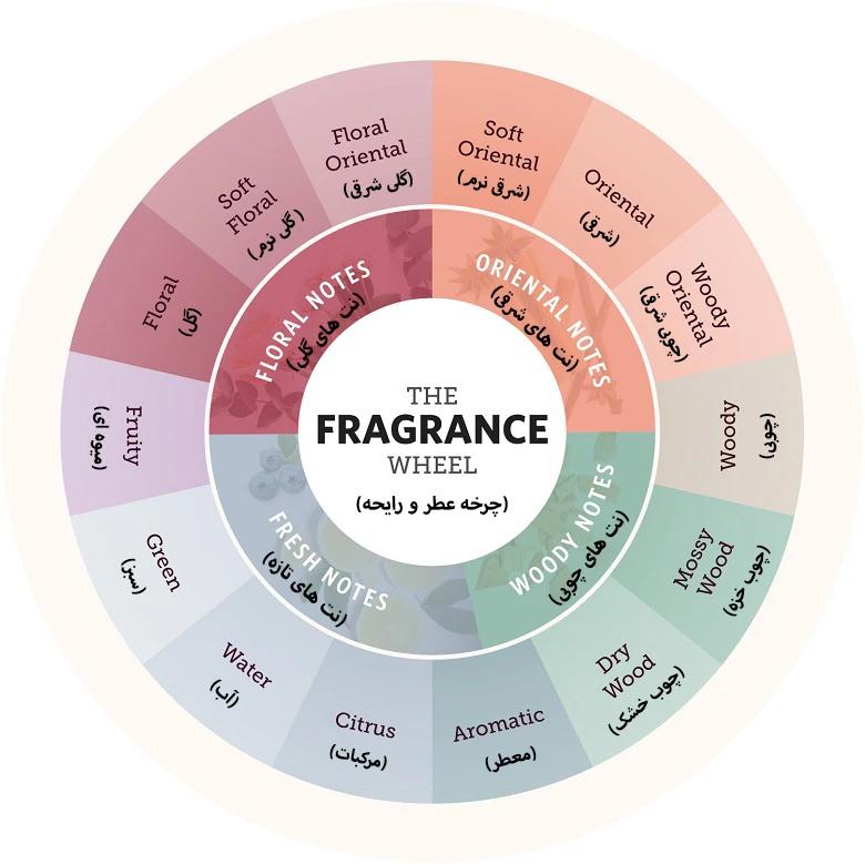 راهنمای تشخیص خانواده های عطر و ادکلن